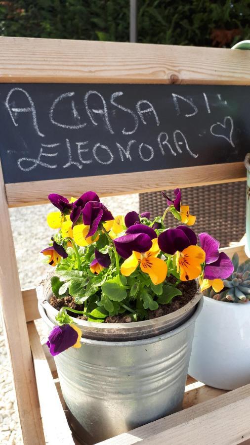 B&B A Casa Di Eleonora Villafranca di Verona Exteriér fotografie